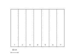 Komar Fototapete Marmorelia Taupe 350 x 250 cm 610019