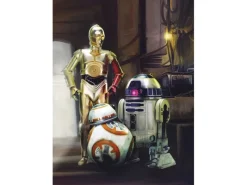 Komar Fototapete STAR WARS Three Droids 184 cm x 254 cm FSC®
