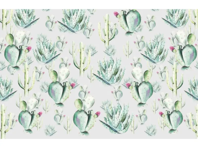 Clearance Komar Fototapete Vlies Cactus Grey 400 x 250 cm