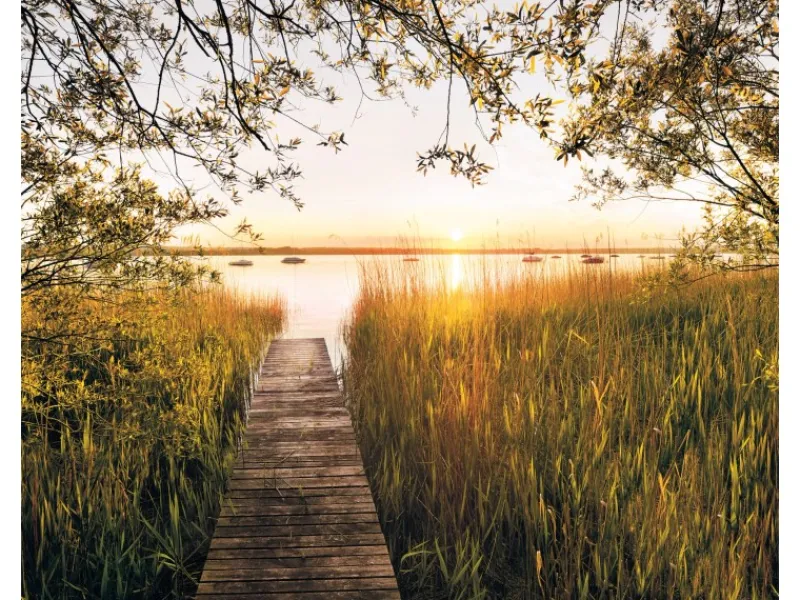 Clearance Komar Fototapete Vlies Lakeside 300 x 250 cm