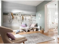 Online Komar Fototapete White Horses 368 cm x 254 cm FSC®