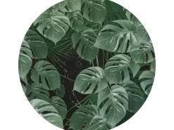 Hot Komar Vlies Fototapete Novel Monstera Selbstklebend Ø 125 cm