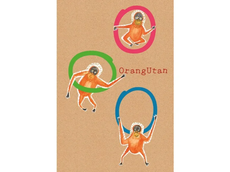 Komar Wandbild ABC Animal O 50 x 70 cm