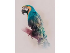 Komar Wandbild Animals Parrot 30 x 40 cm