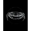 Komar Wandbild Crab Black 30 x 40 cm