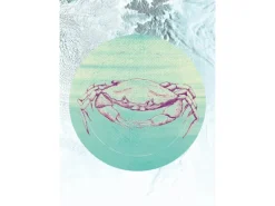 Clearance Komar Wandbild Crab Sea 50 x 70 cm