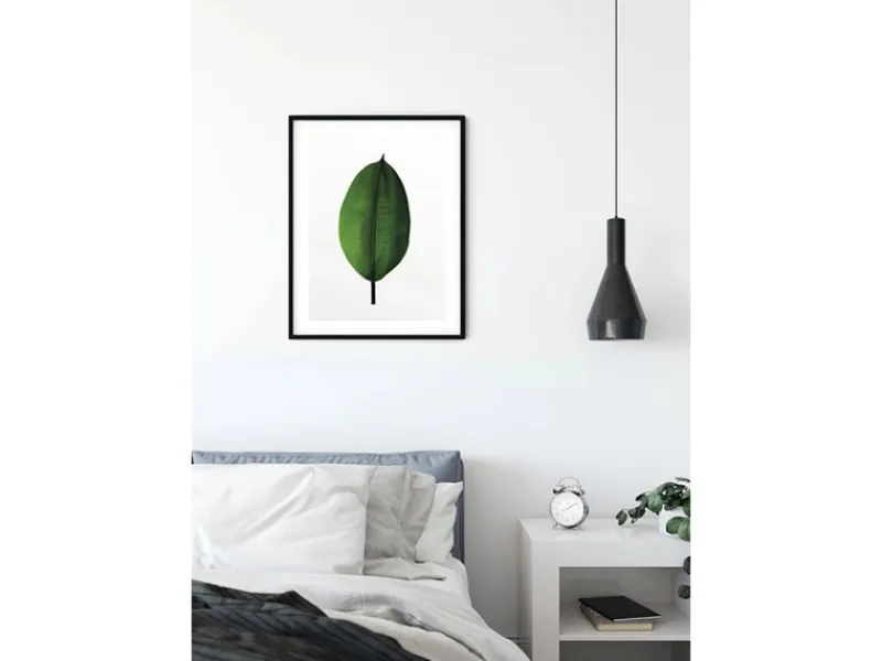 Komar Wandbild Ficus Leaf 40 x 50 cm