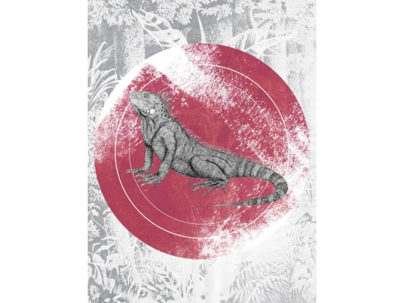 Online Komar Wandbild Iguana Circle 50 x 70 cm
