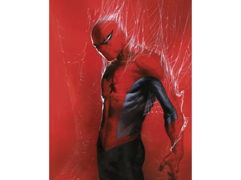 Komar Wandbild Marvel Spider-Man Through the Spider Web 30 cm x 40 cm Rot