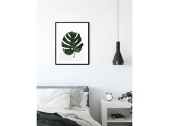 Komar Wandbild Monstera Leaf 40 x 50 cm