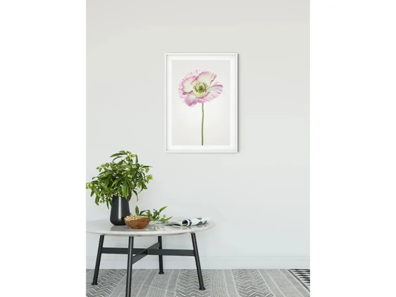 Komar Wandbild Poppy 50 x 70 cm