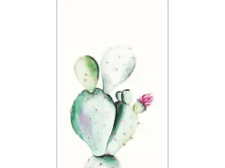 Clearance Komar Wandbild Prickly Pear 50 x 70 cm