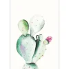 Komar Wandbild Prickly Pear 30 x 40 cm