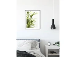Best Komar Wandbild Reed Leaves 40 x 50 cm