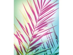 Komar Wandbild Shine 40 x 50 cm