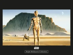 Komar Wandbild Star Wars Droids 40 x 30 cm