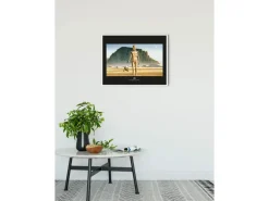 Komar Wandbild Star Wars Droids 40 x 30 cm