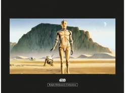 Clearance Komar Wandbild Star Wars Droids 50 x 40 cm