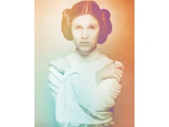 New Komar Wandbild Star Wars Leia 40 x 50 cm