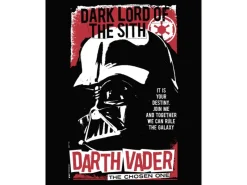 Komar Wandbild Star Wars Darth Vader The Chosen One 40 cm x 50 cm Rot