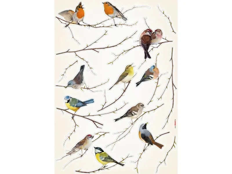 Komar Wandsticker Vogerl 70 cm x 50 cm