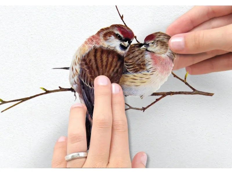 Komar Wandsticker Vogerl 70 cm x 50 cm