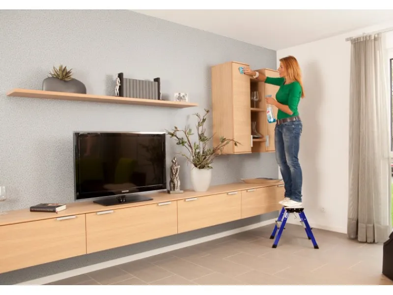 Krause Klapptritt Rolly Fahrbar 2 x 2 Stufen 45 cm x 40 cm x 50 cm