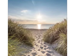 New Pro Art Leinwandbild Anonymus Nordsee 27 cm x 27 cm