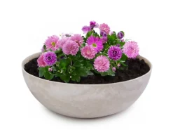 Outlet matches21 HOME&HOBBY Pflanzschale für Draussen in Sand-Farben Marmoriert 37 x 10,5 cm Sandfarben