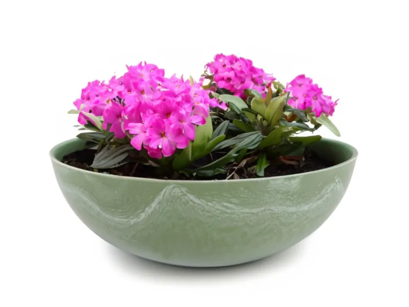 matches21 HOME&HOBBY Pflanzschale für Draussen in Oliv- Marmoriert 25 x 9 cm