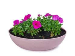 Online matches21 HOME&HOBBY Pflanzschale für Draussen in Alt-Rosa Marmoriert 30 x 9 cm Altrosa