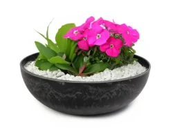 matches21 HOME&HOBBY Pflanzschale für Draussen in Marmoriert 25 x 9 cm