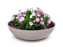 Discount matches21 HOME&HOBBY Pflanzschale für Draussen in Sand-Farben Marmoriert 30 x 9 cm Sandfarben