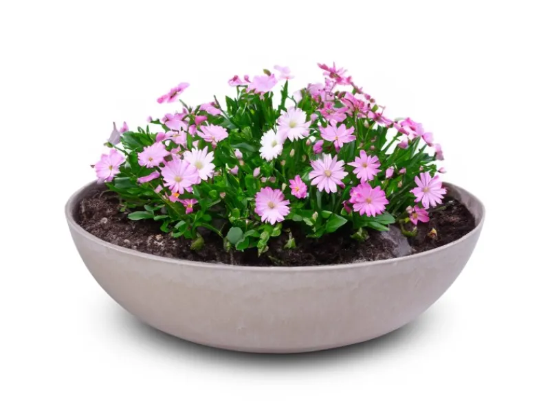 Discount matches21 HOME&HOBBY Pflanzschale für Draussen in Sand-Farben Marmoriert 30 x 9 cm Sandfarben