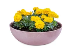 Discount matches21 HOME&HOBBY Pflanzschale für Draussen in Alt-Rosa Marmoriert 25 x 9 cm Altrosa