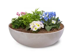 matches21 HOME&HOBBY Pflanzschale für Draussen in Sand-Farben Marmoriert 25 x 9 cm