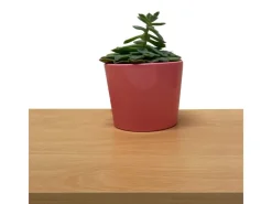 Möbelbauplatte 260 cm x 20 cm x 1,9 cm