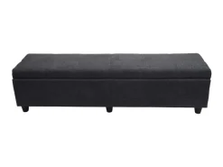 MCW Aufbewahrungs-Truhe Kriens XXL