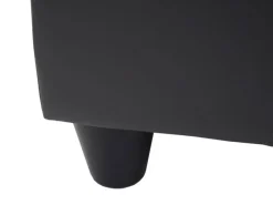 MCW Aufbewahrungs-Truhe Kriens Kunstleder 45x114x45cm Matt