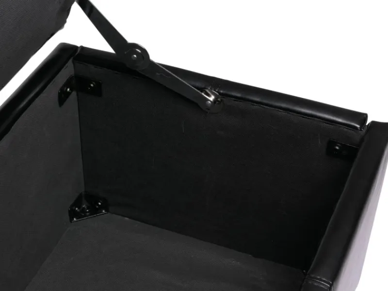 MCW Aufbewahrungs-Truhe Kriens XXL