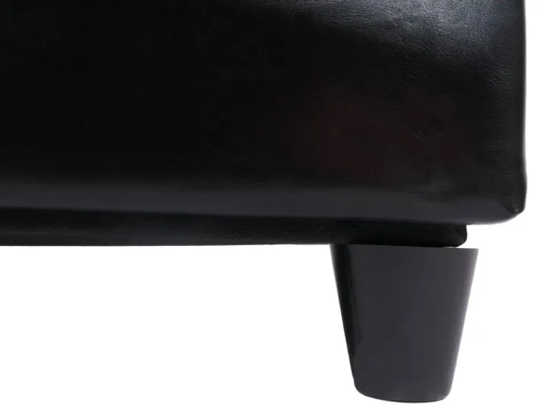 MCW Aufbewahrungs-Truhe Kriens XXL