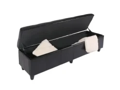 MCW Aufbewahrungs-Truhe Kriens XXL