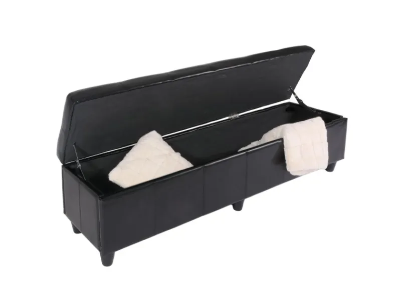 MCW Aufbewahrungs-Truhe Kriens XXL