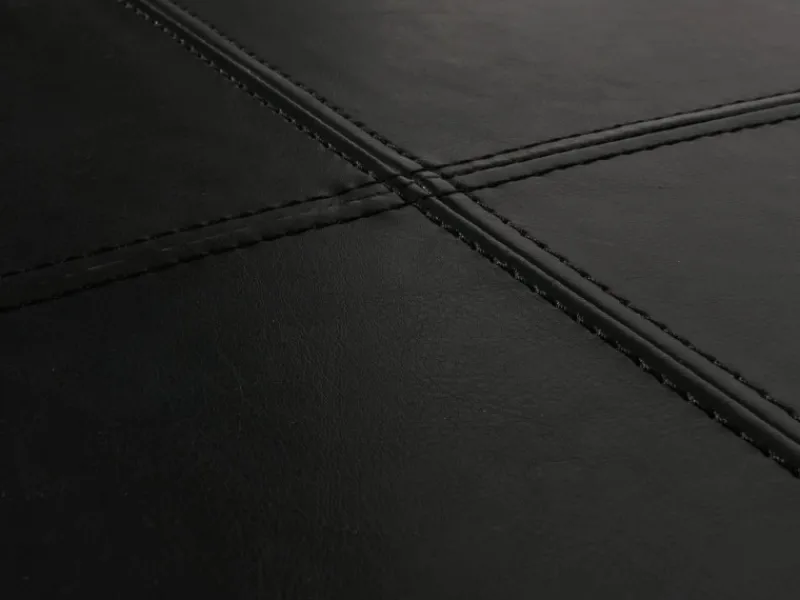 MCW Aufbewahrungs-Truhe Kriens XXL