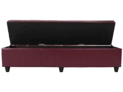 MCW Aufbewahrungs-Truhe Kriens XXL