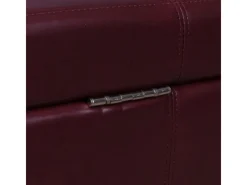 MCW Aufbewahrungs-Truhe Kriens XXL