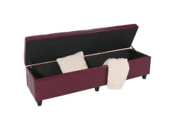 MCW Aufbewahrungs-Truhe Kriens XXL