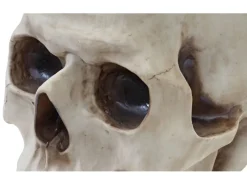 Hot MCW Beistelltisch Totenkopf A19