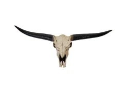 Outlet MCW Deko Schädel 132cm A14 Stier Naturfarben