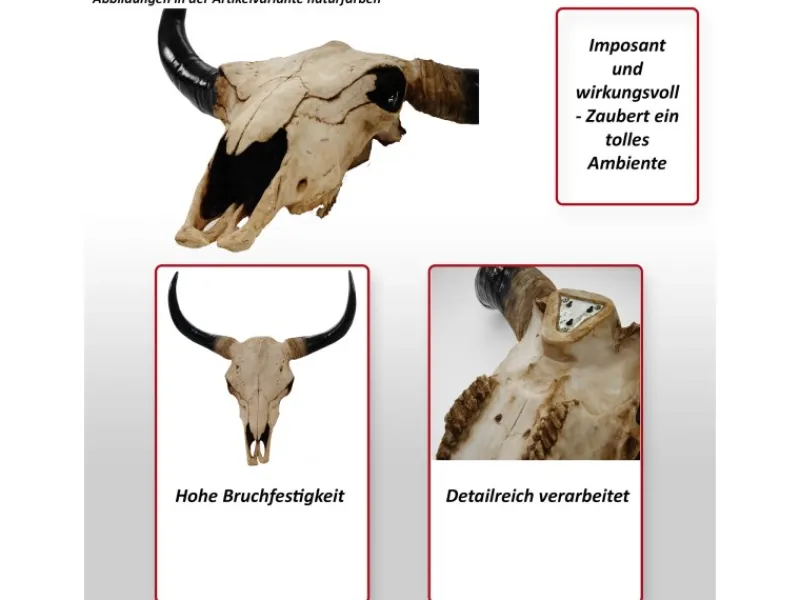 MCW Deko Schädel 45cm T454 Stier Naturfarben